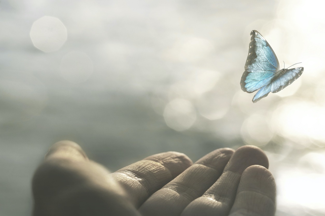 a delicate butterfly flies away from a woman's hand