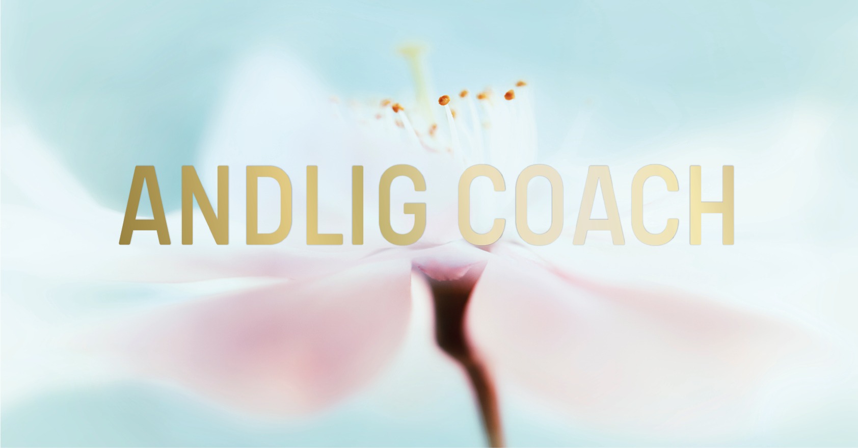 andlig coach